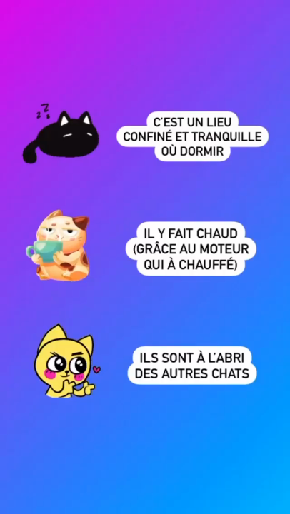 Story Background