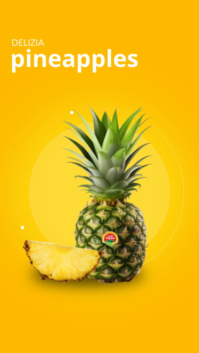 Story Background