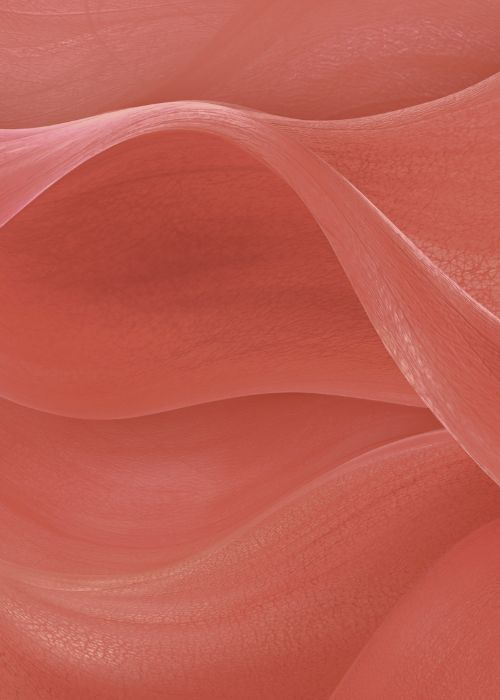 Story Background